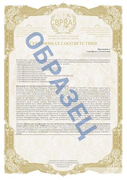 Образец Приложение к СТО 01.064.00220722.2-2020 Назарово Сертификат СТО 01.064.00220722.2-2020 